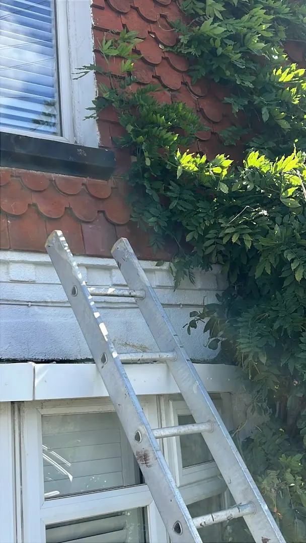 Vertical tiles on a wall being repaired from the ladder, FR Roofing Solutions